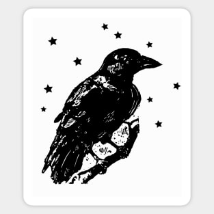 Raven and Stars Sticker